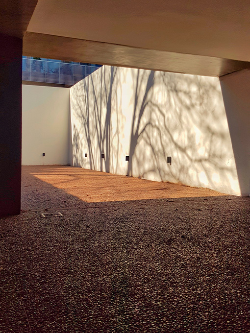 Donado 2337 • Motus Desarrollos